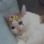 블로그 이미지