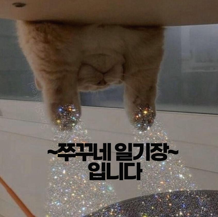 블로그 이미지
