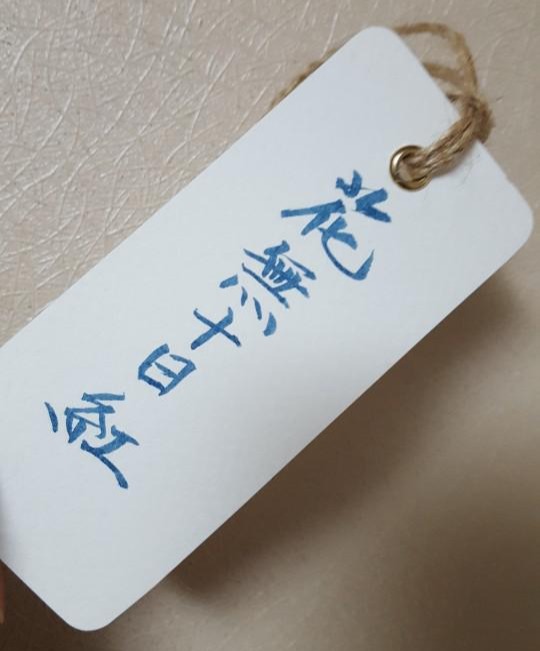 블로그 이미지