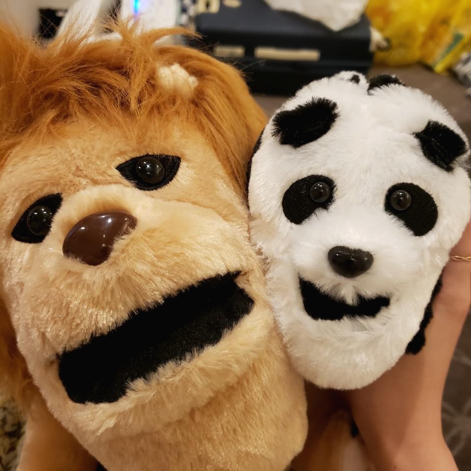 프로필사진