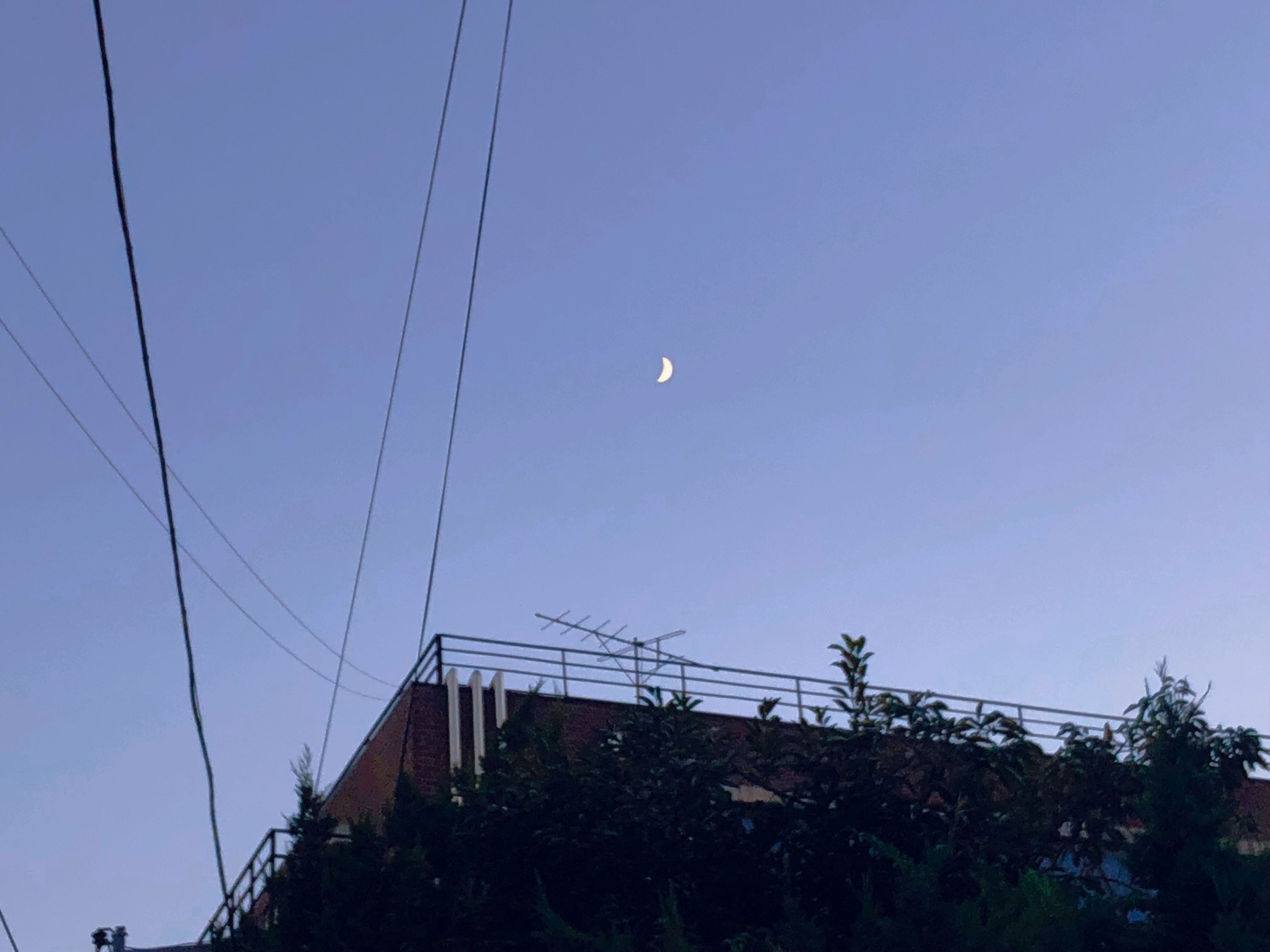 프로필사진