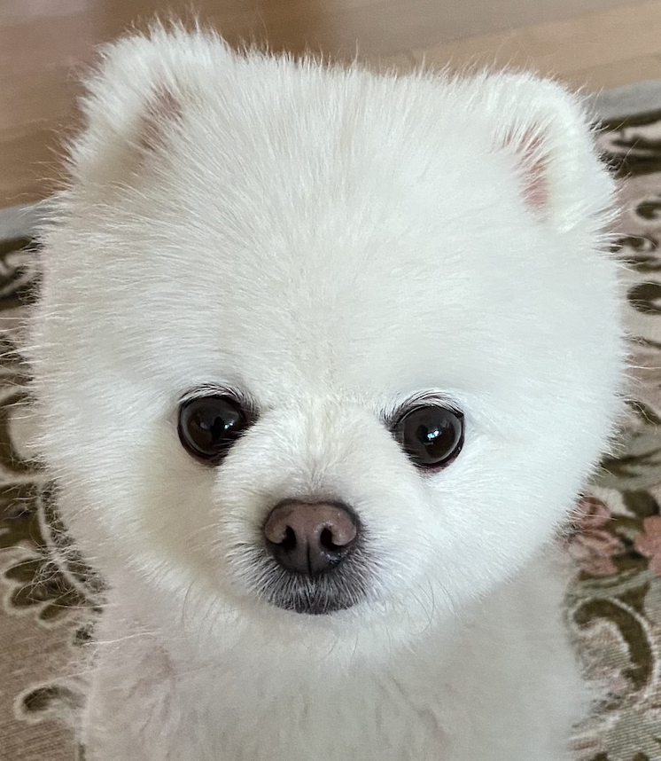 프로필사진
