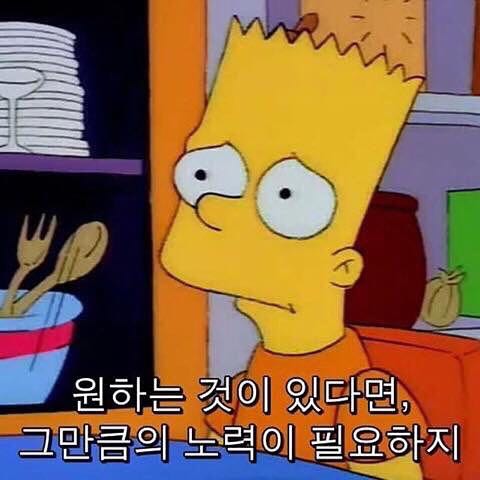프로필사진