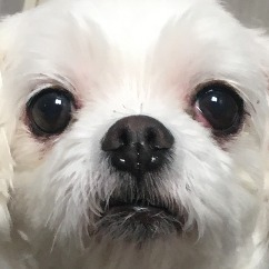 프로필이미지