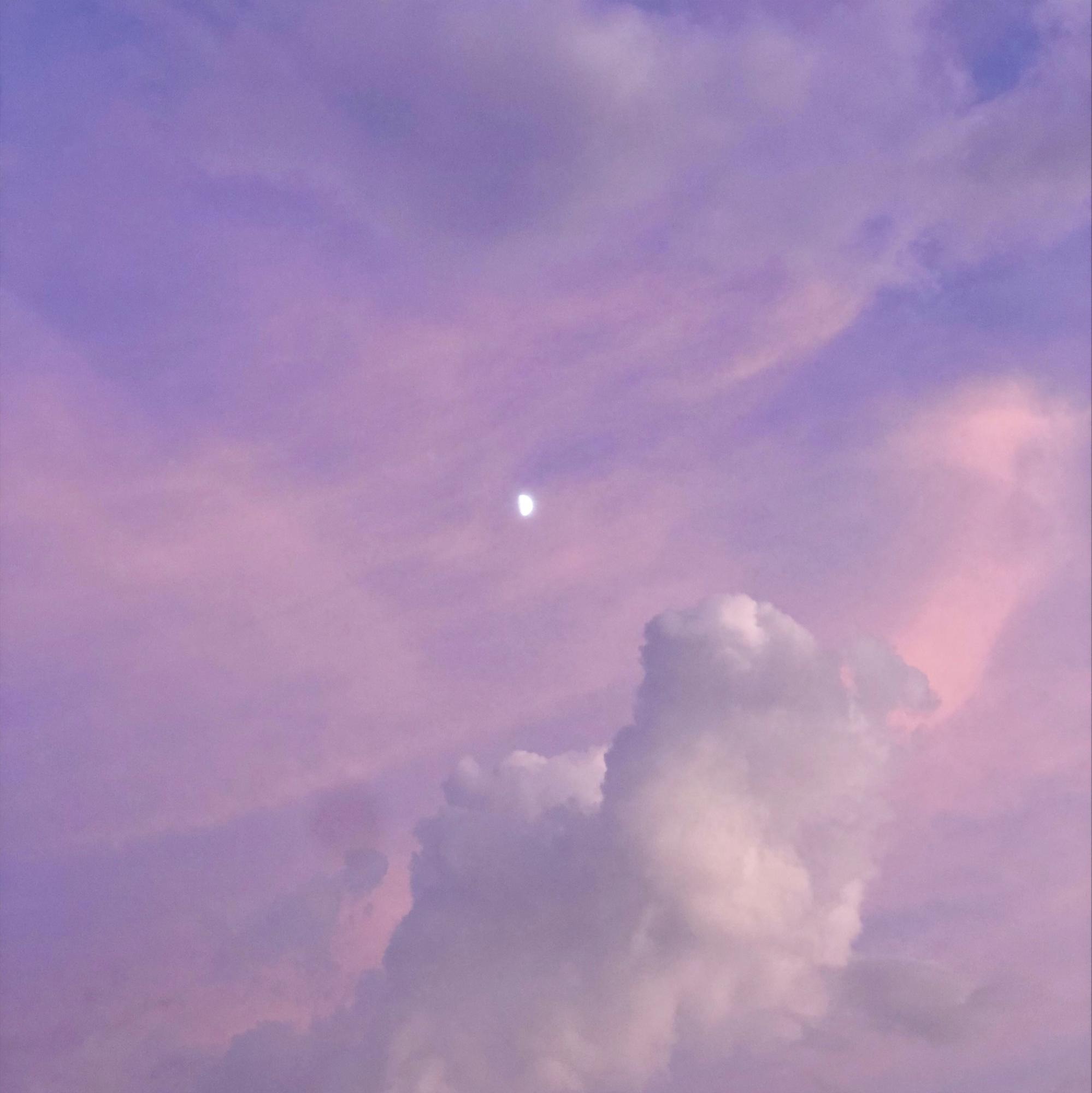 프로필사진