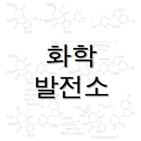 프로필사진