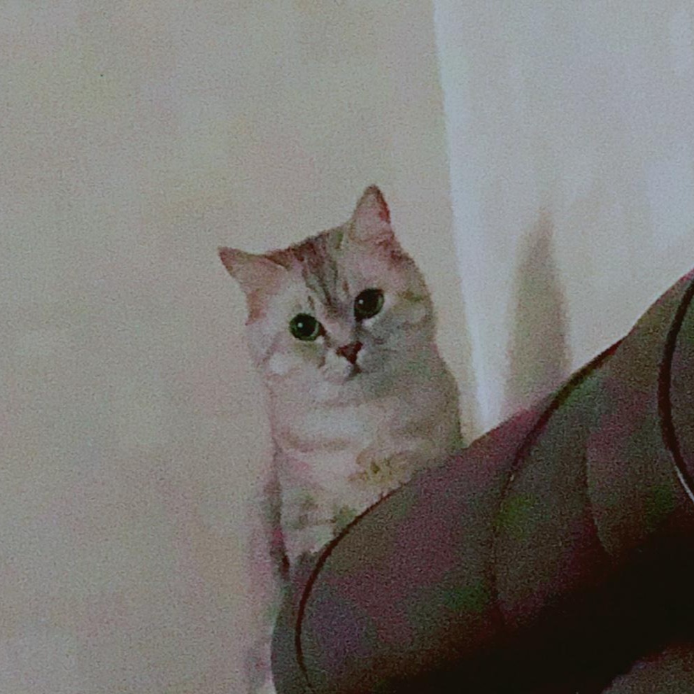 블로그 이미지