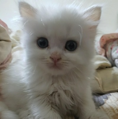 프로필사진