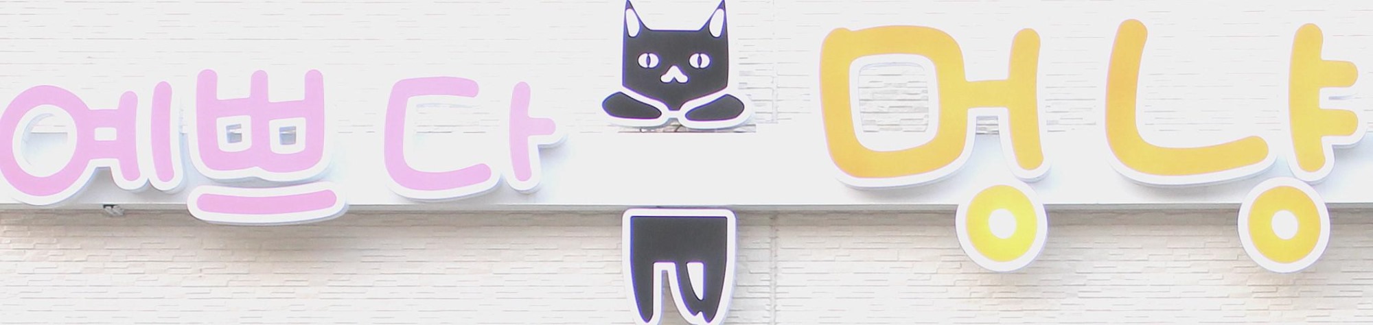프로필사진