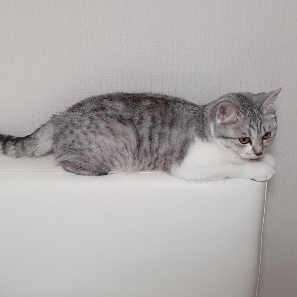 블로그 이미지