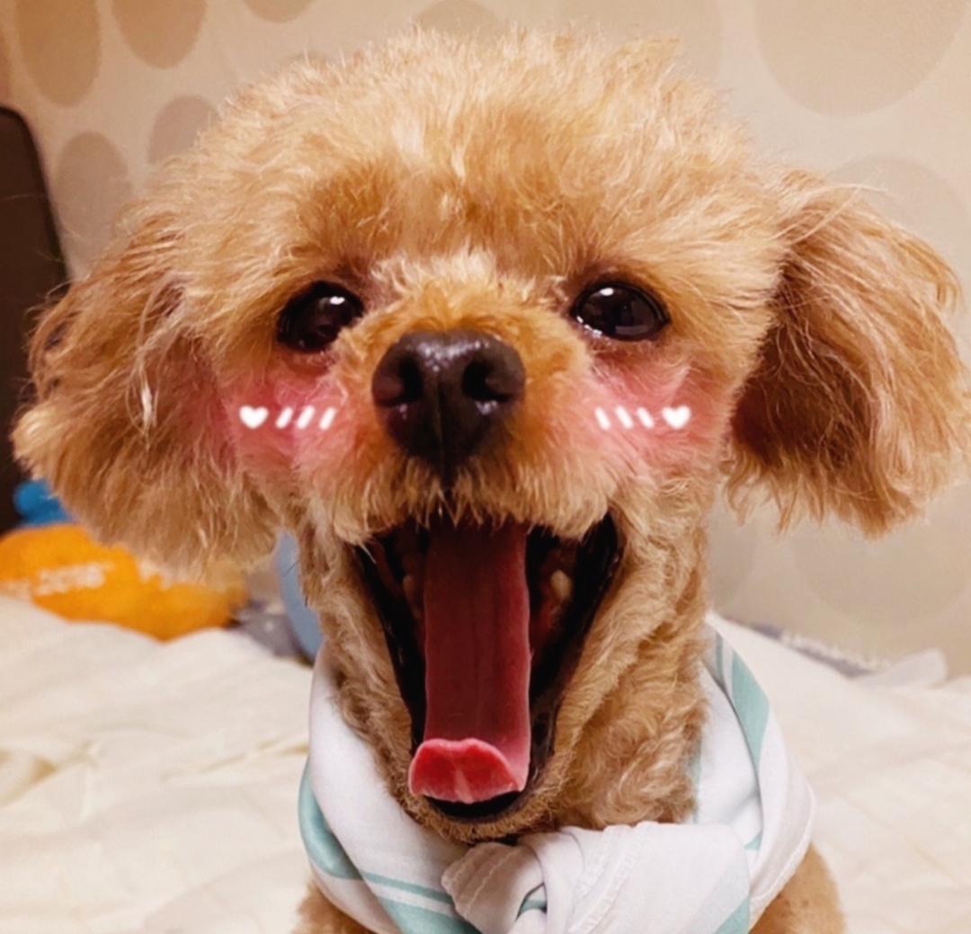프로필사진