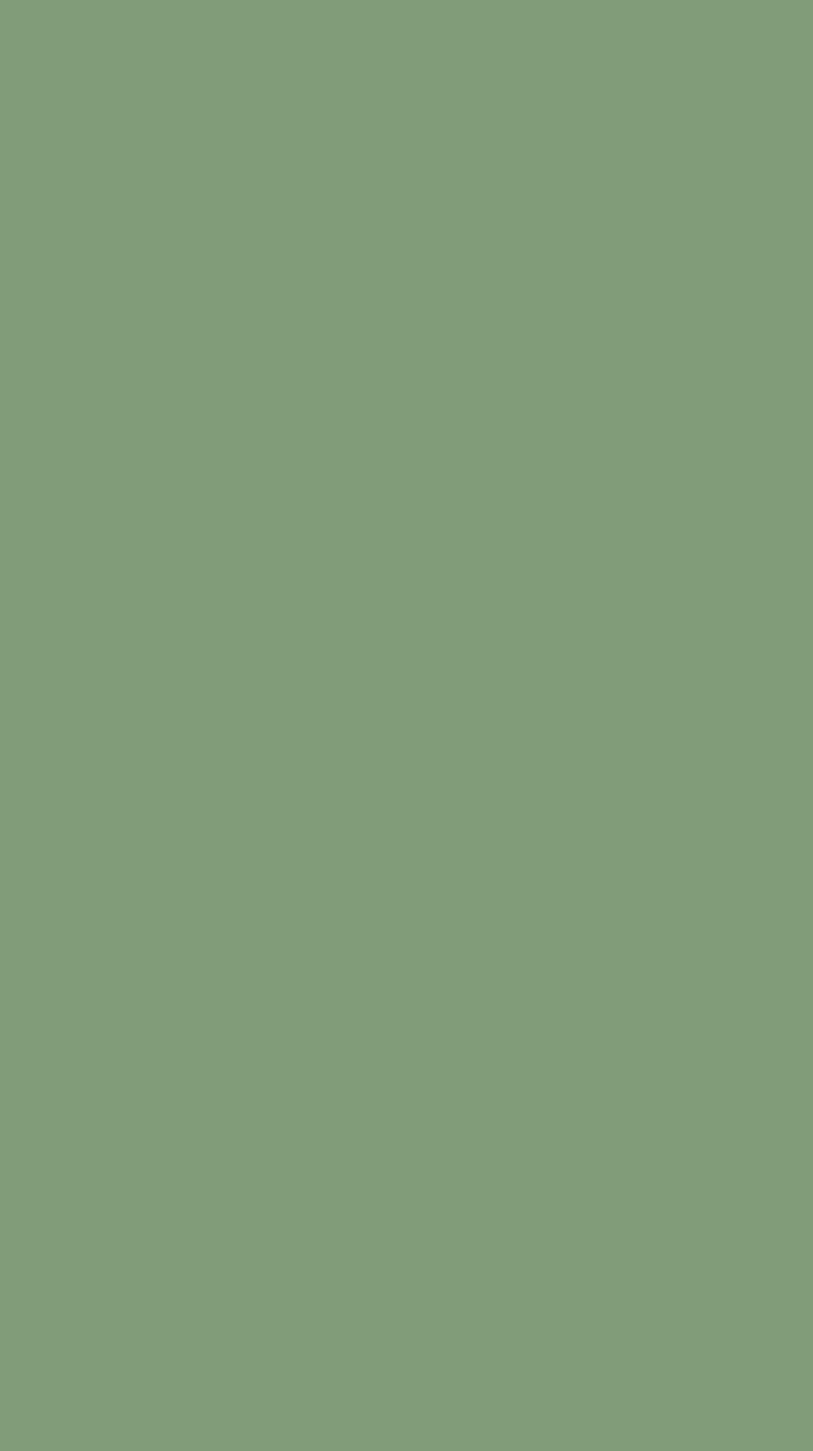 Tistory profile picture for @plane