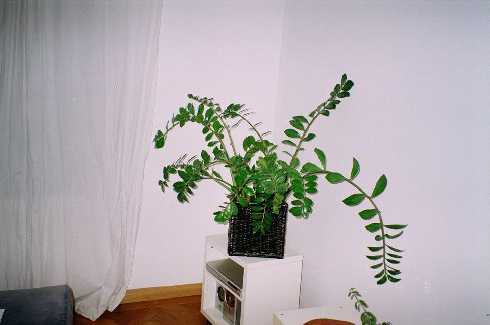 블로그 이미지