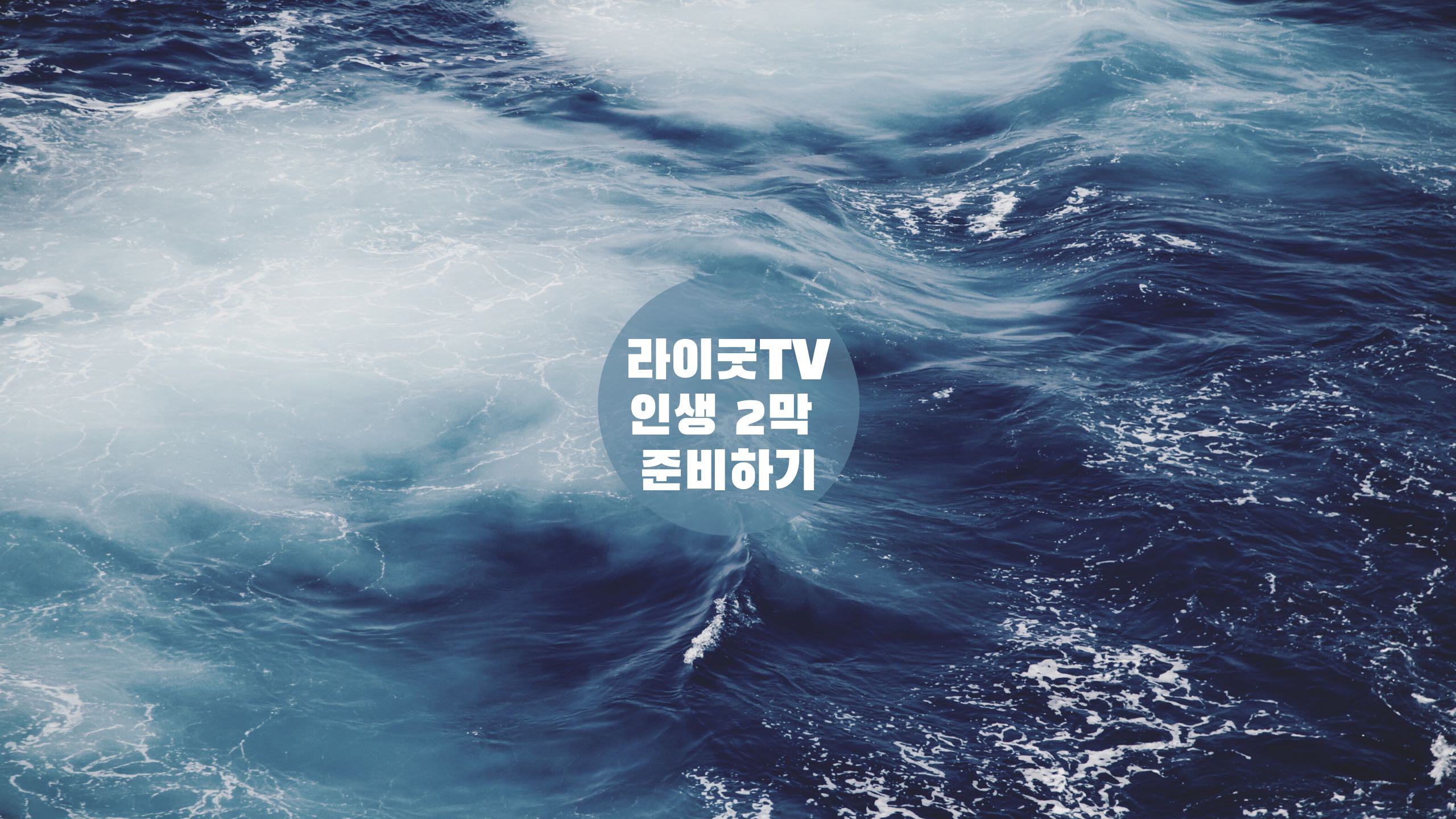 프로필사진
