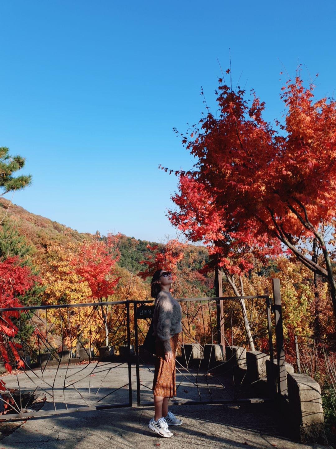 프로필사진