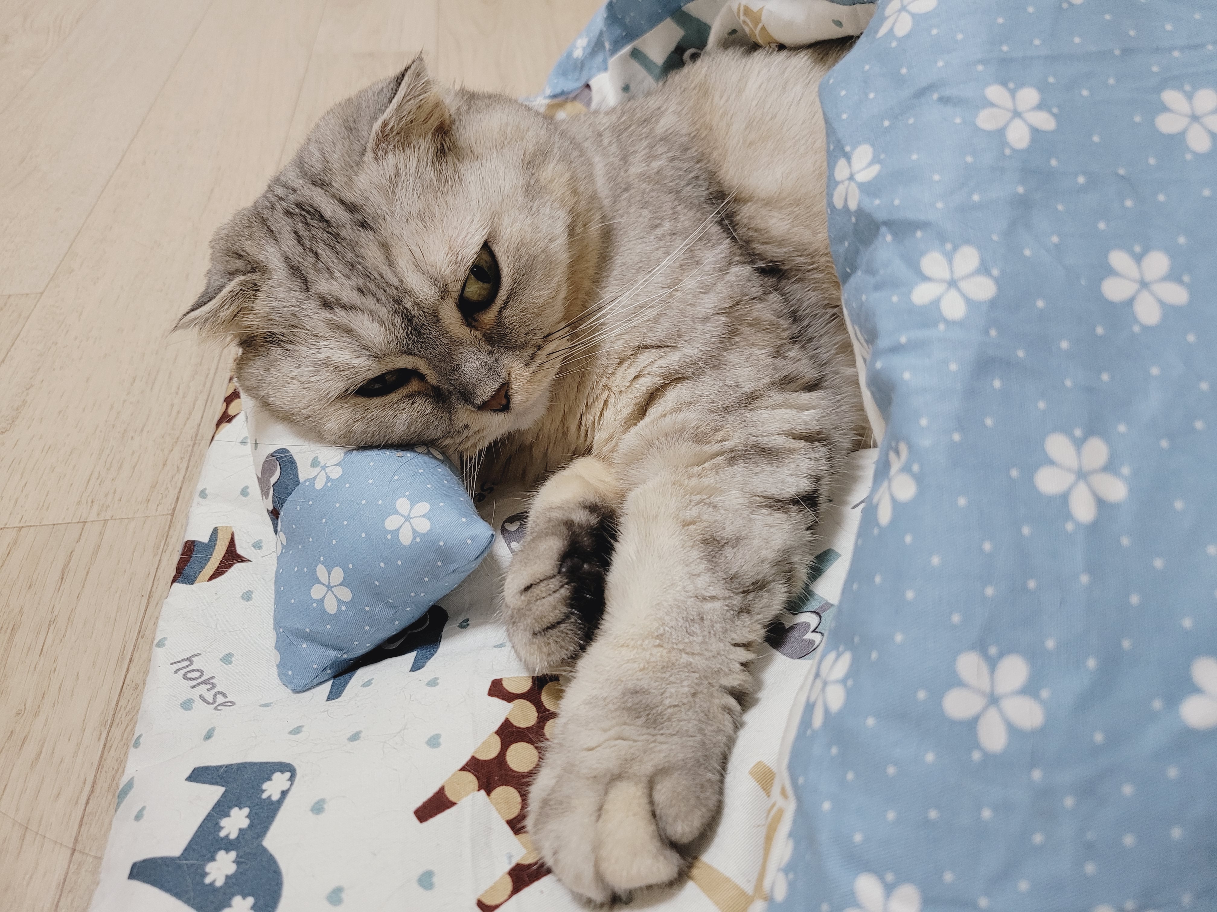 프로필사진