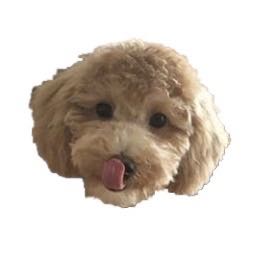 프로필사진