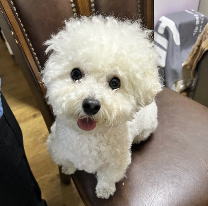프로필사진
