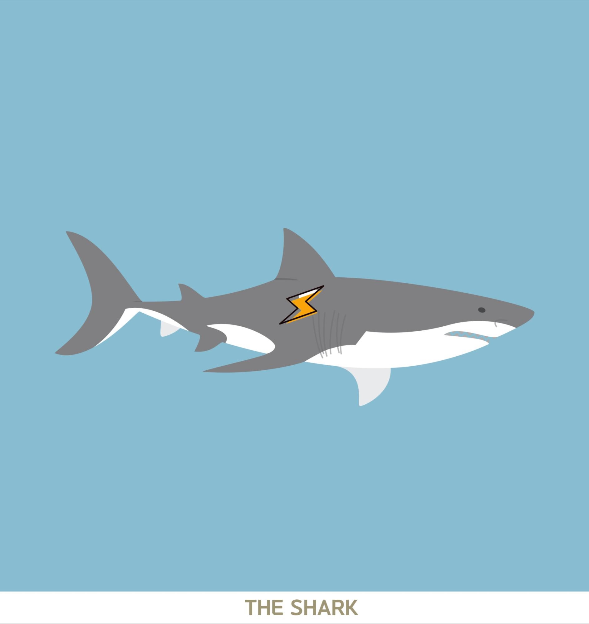 Tistory profile picture for @spark
