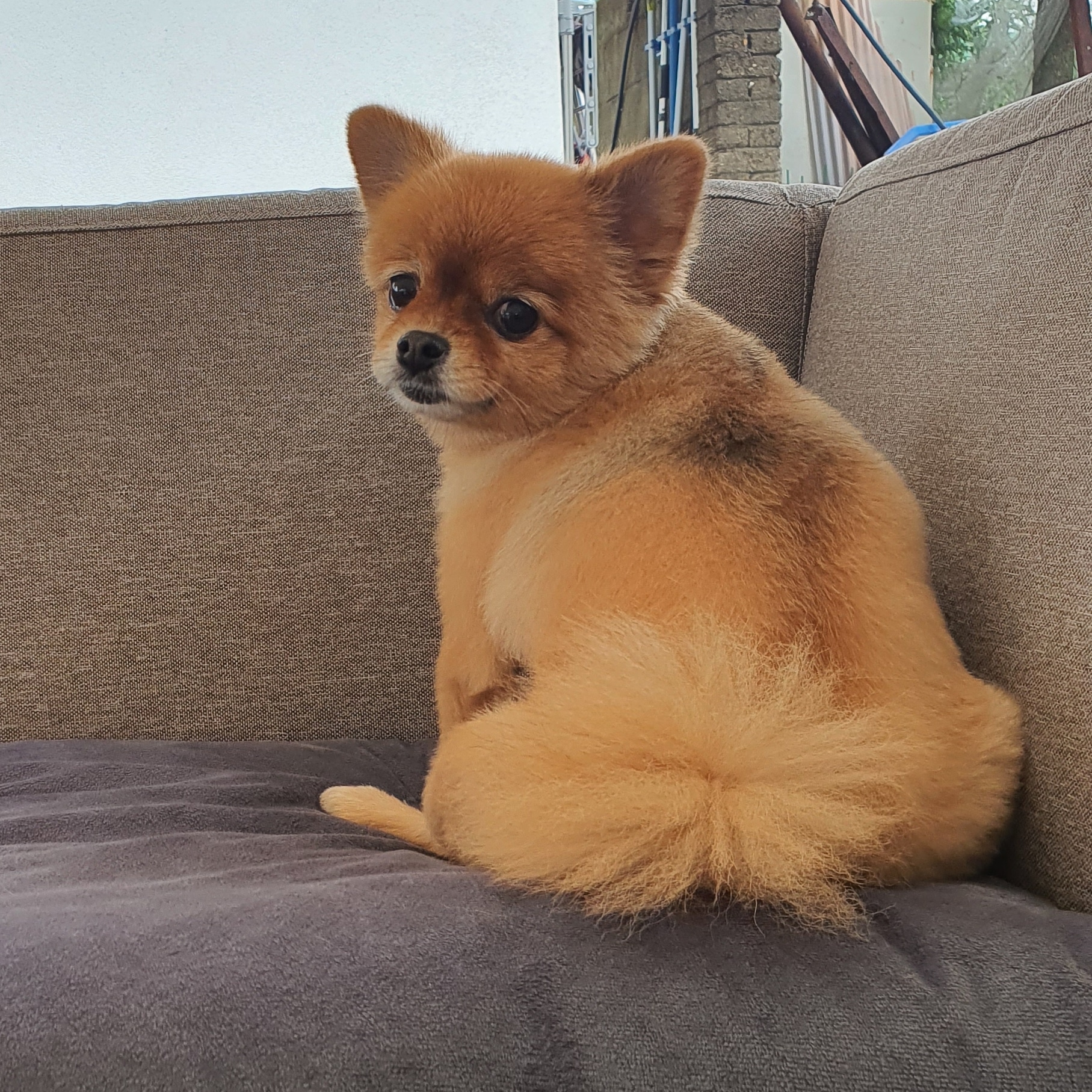 프로필사진