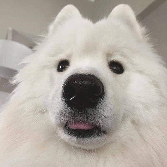 프로필사진
