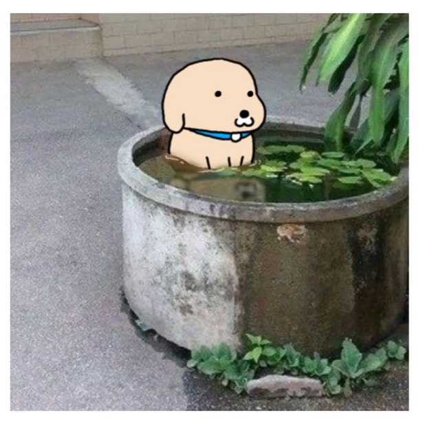 프로필사진