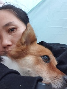 블로그 이미지