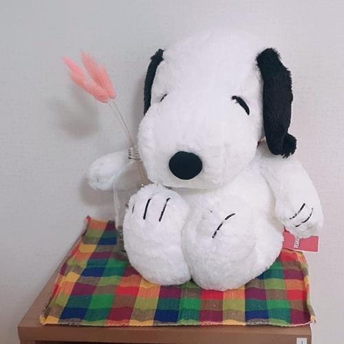 프로필사진
