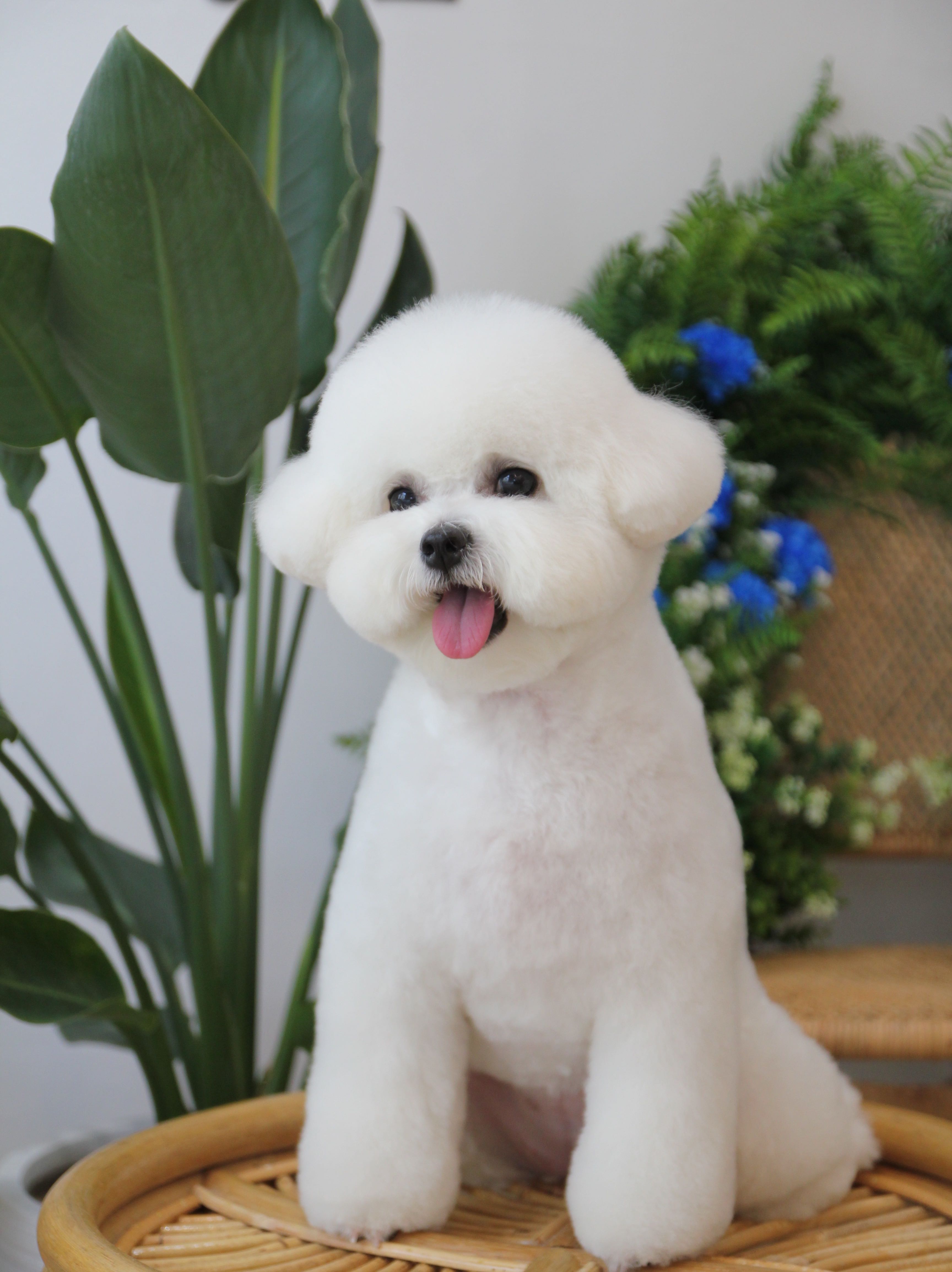 프로필사진