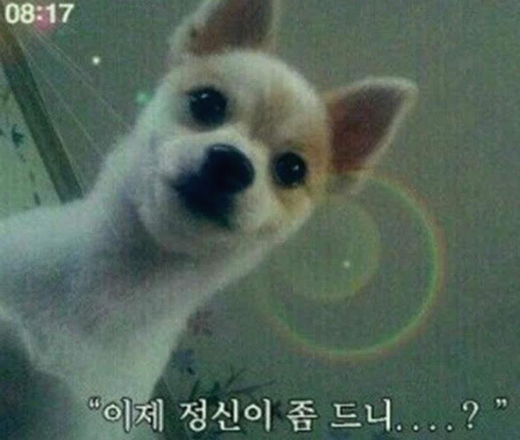 프로필사진