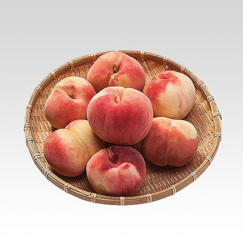 프로필사진