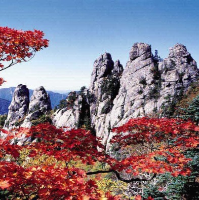 프로필사진