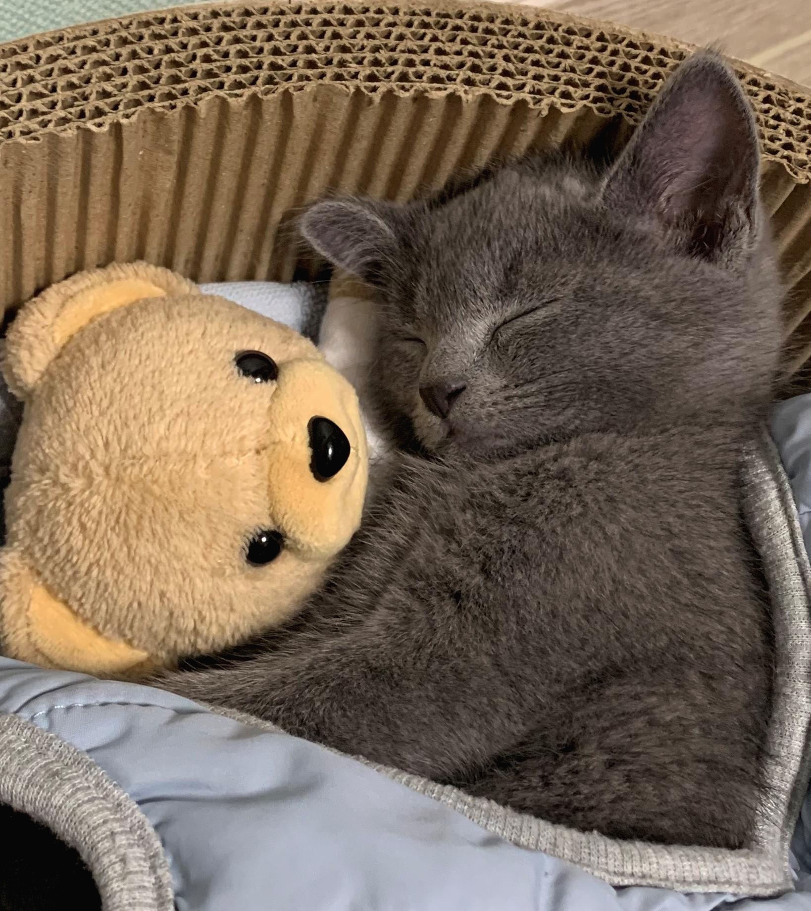 프로필사진