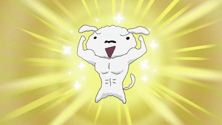 프로필사진