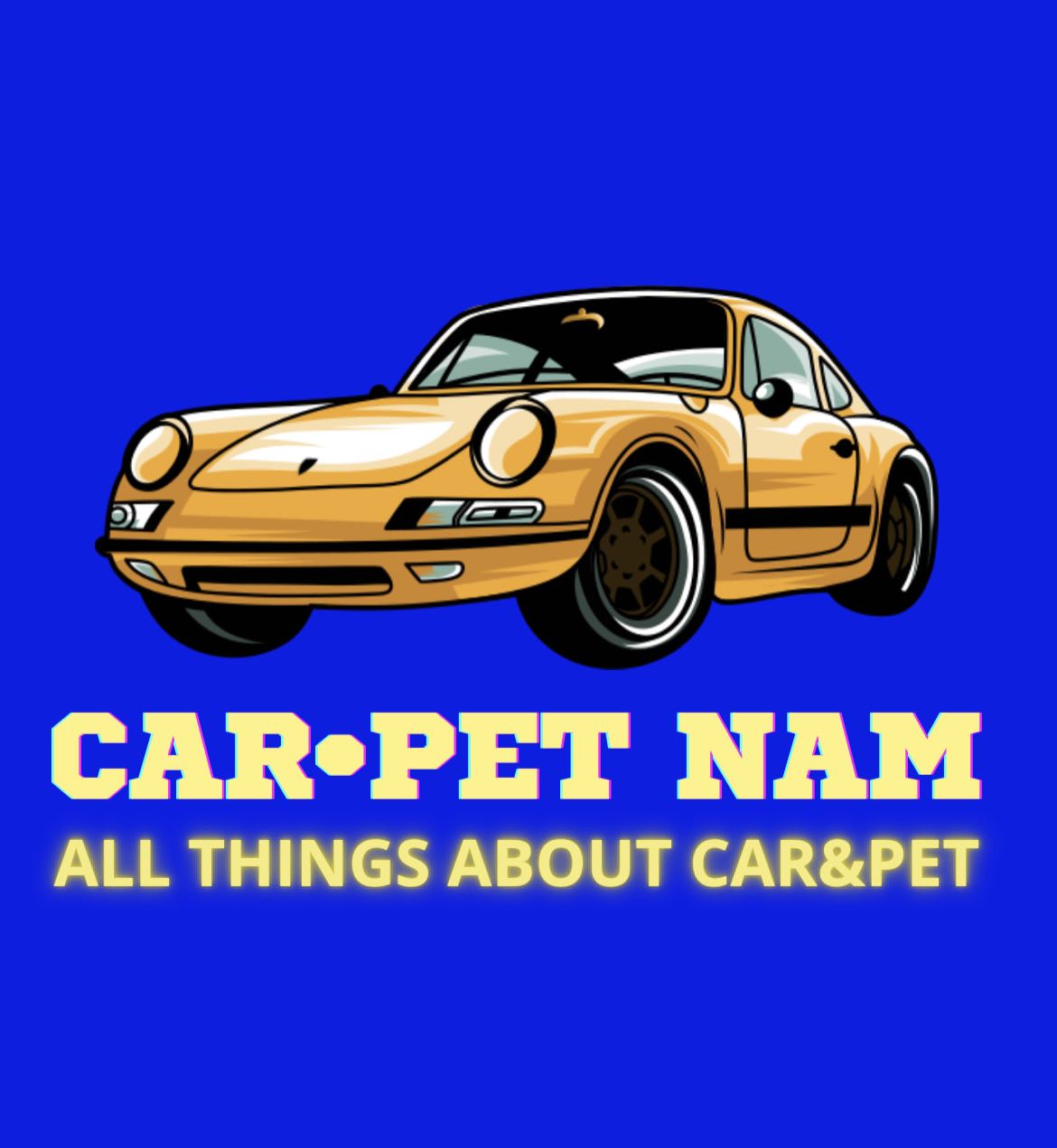 Tistory profile picture for @carpet