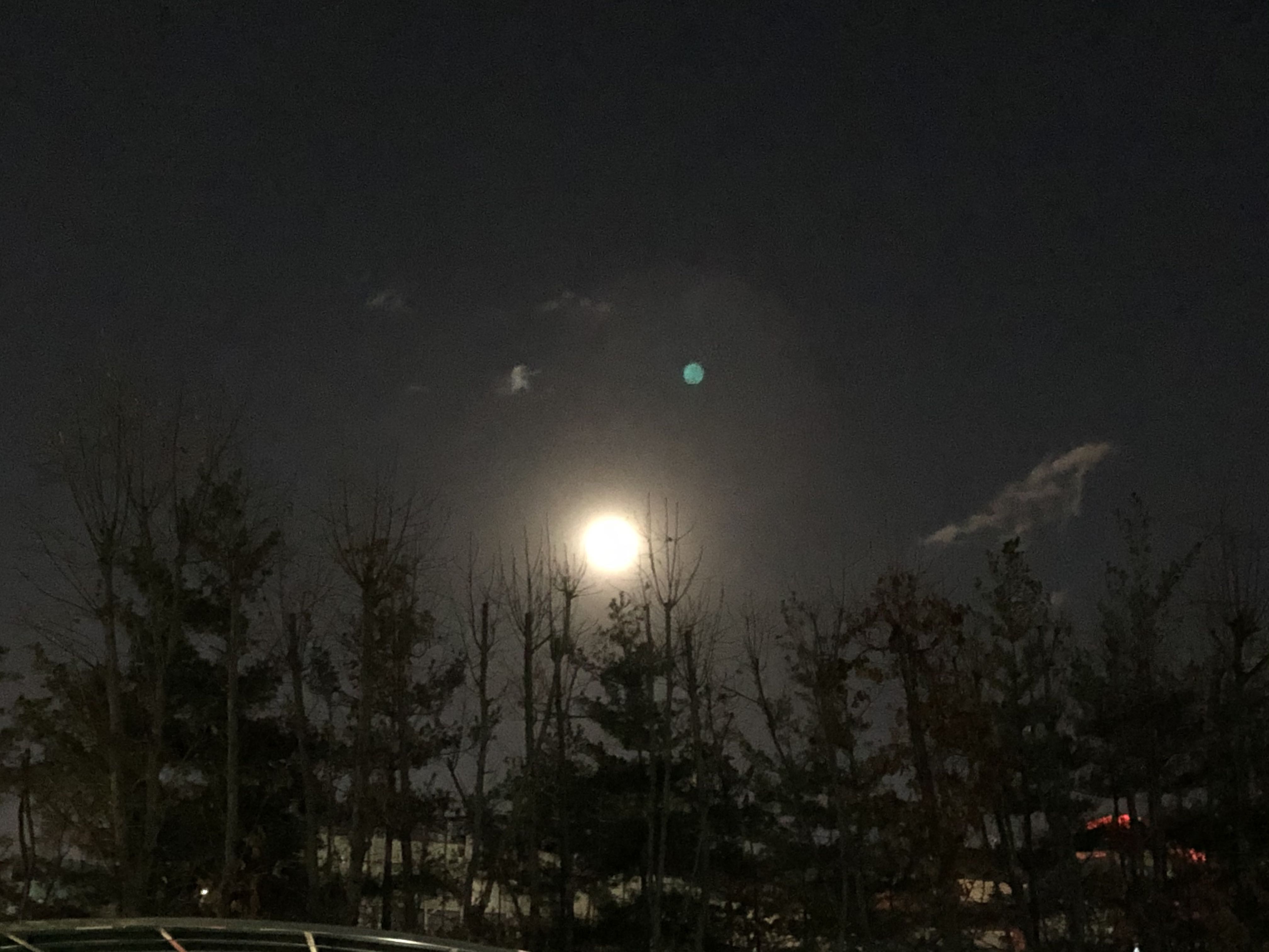 프로필사진