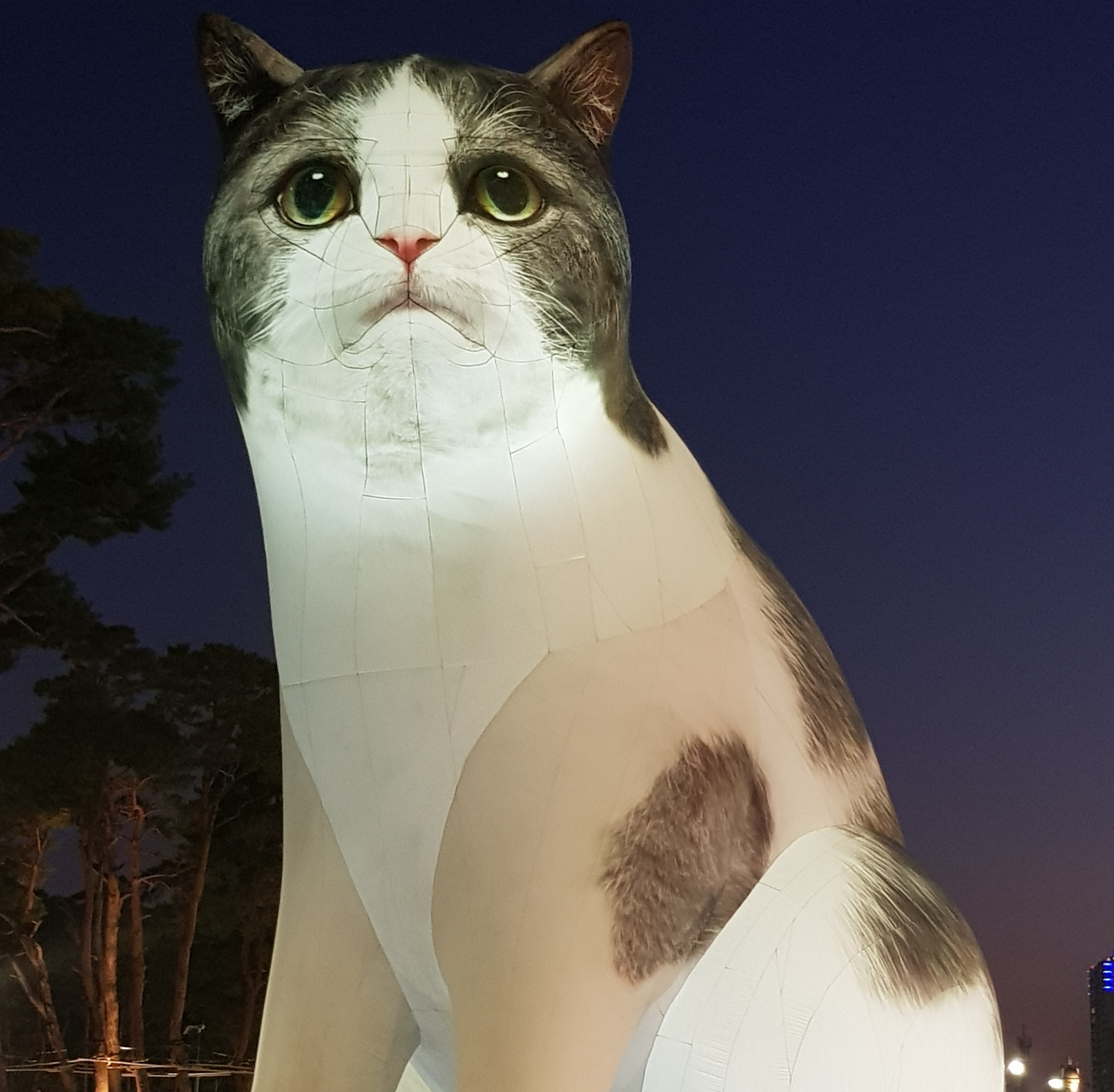 프로필사진
