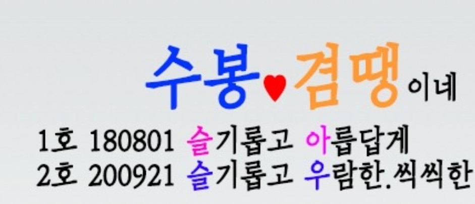 블로그 이미지