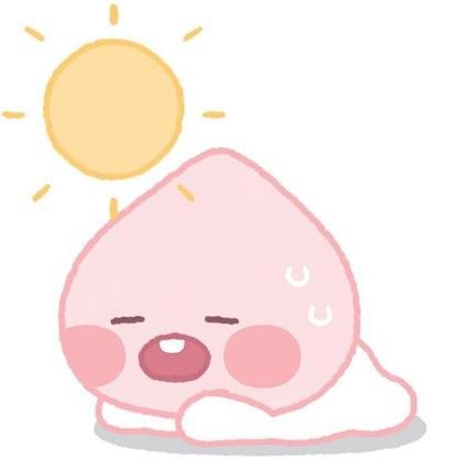프로필사진