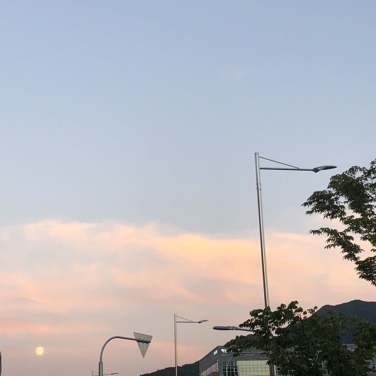 프로필사진