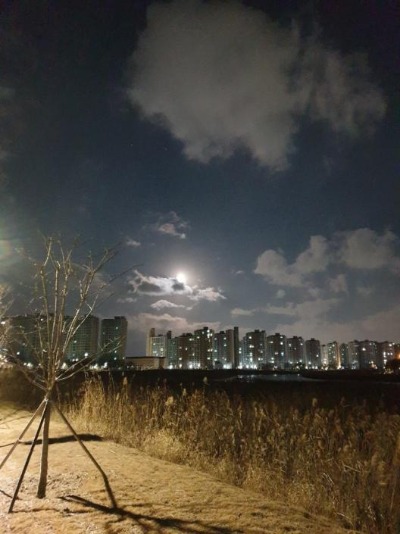 프로필사진