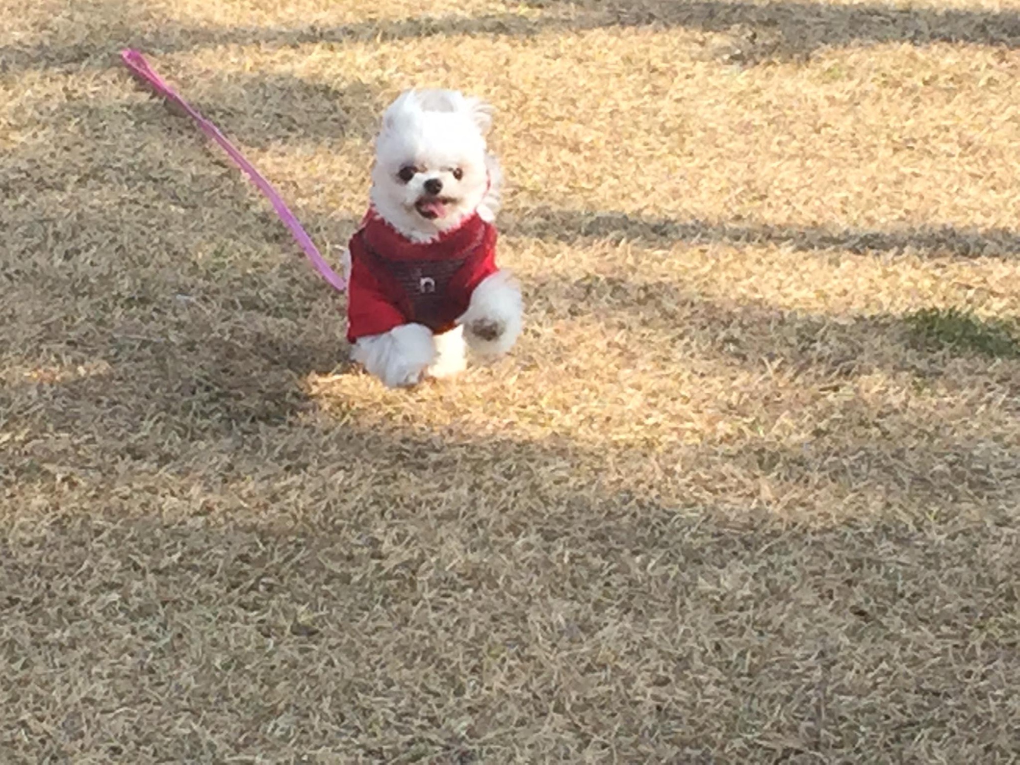 블로그 이미지