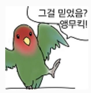 프로필사진