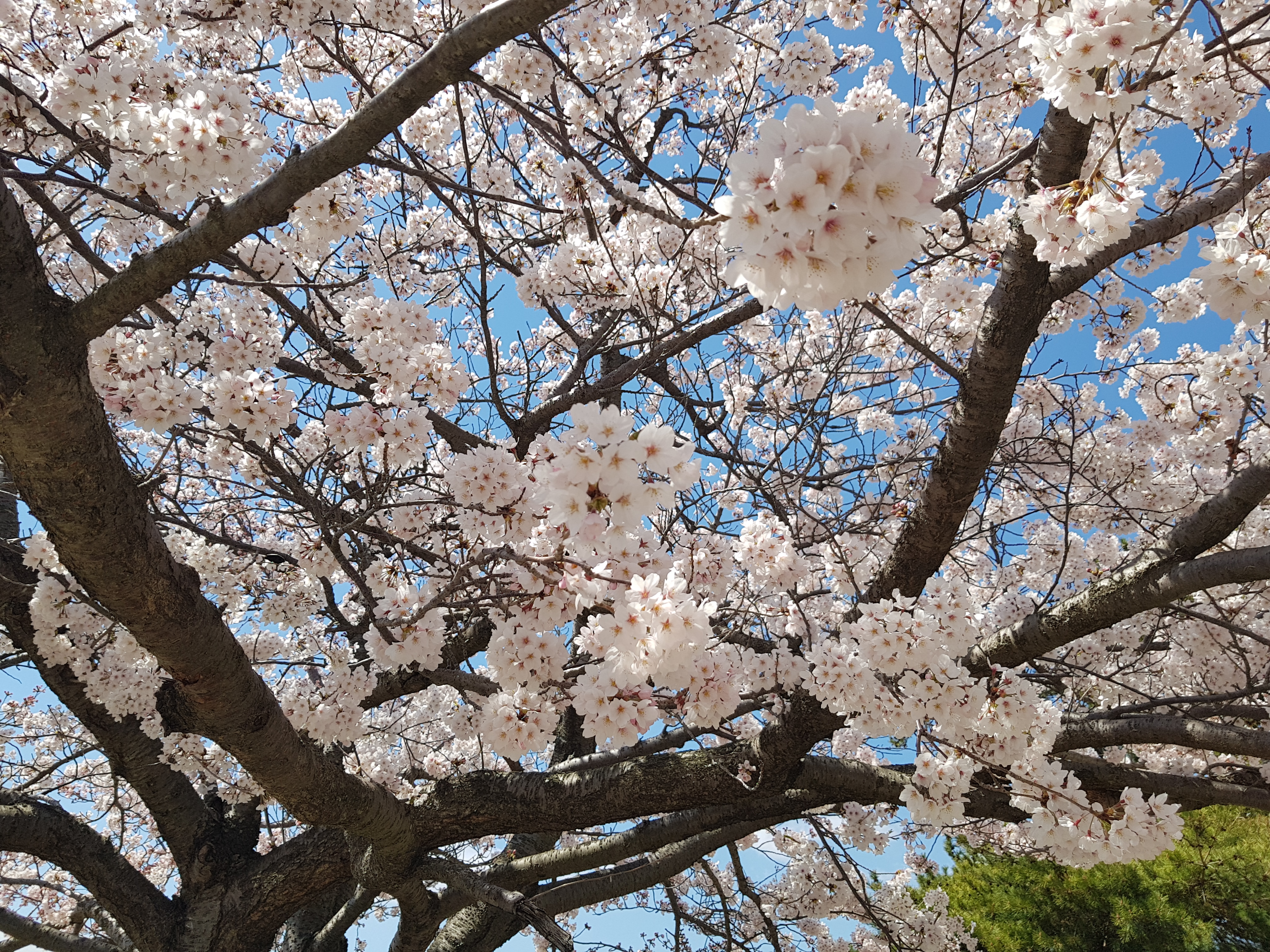 프로필사진