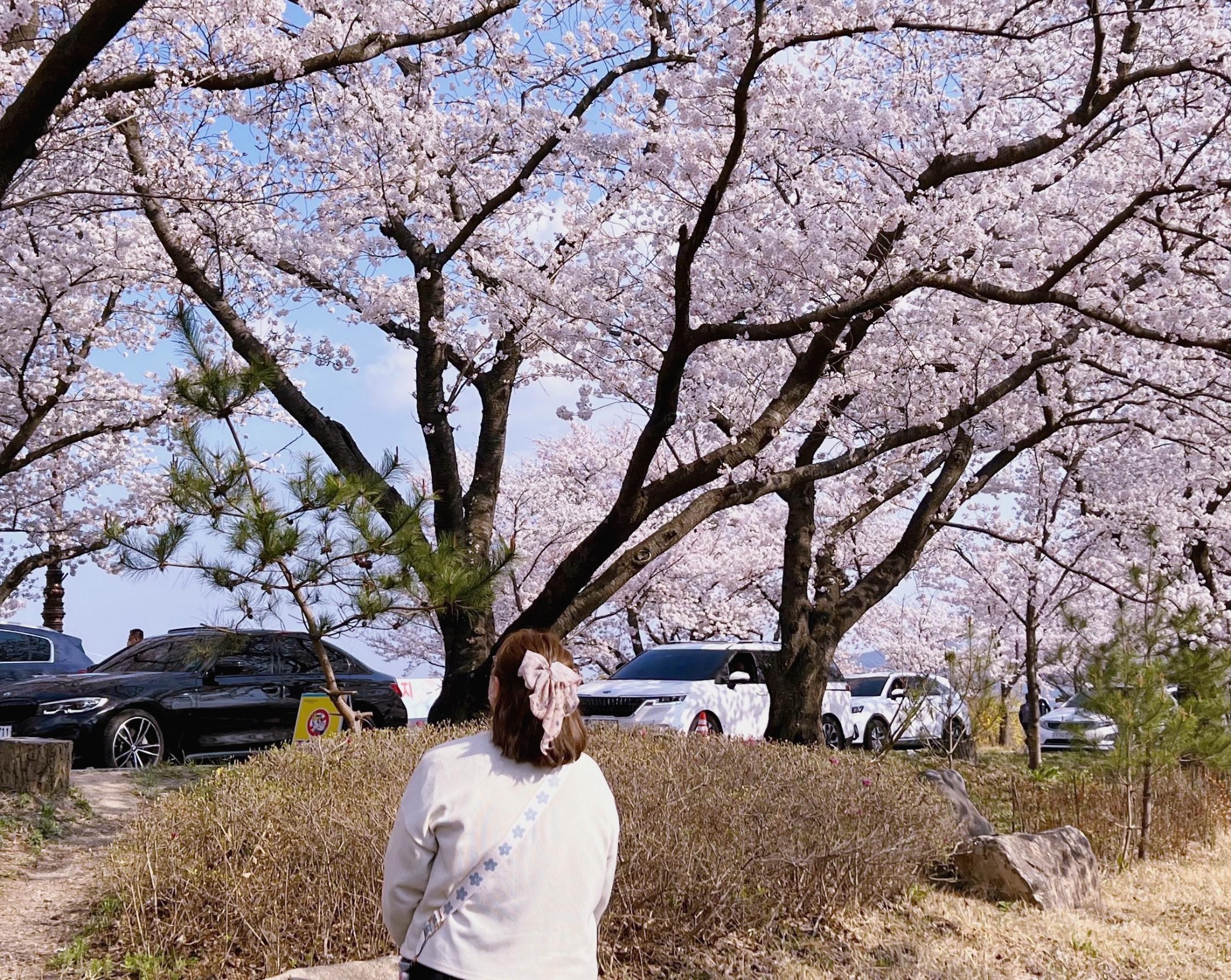 프로필사진