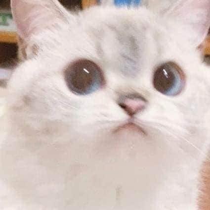 프로필사진