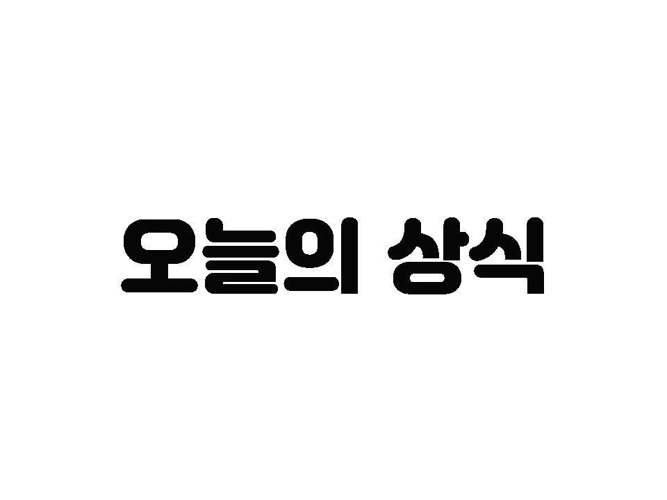 블로그 이미지