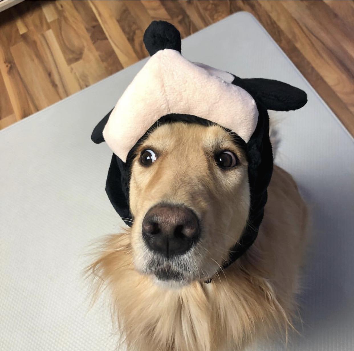 프로필사진