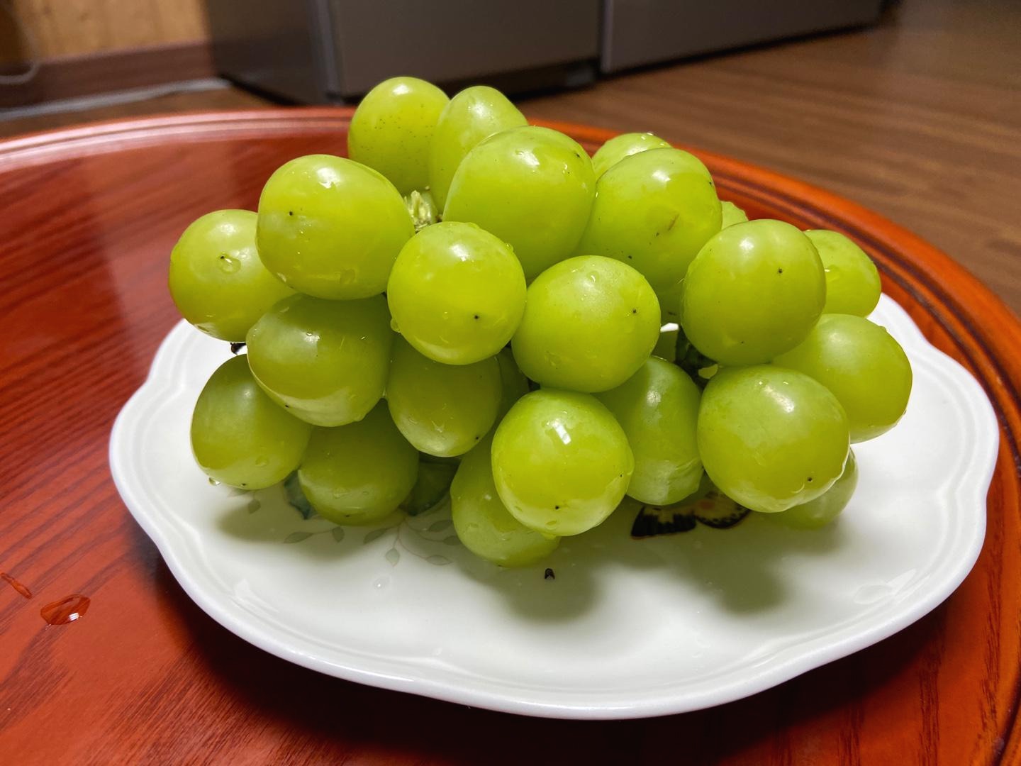 프로필사진