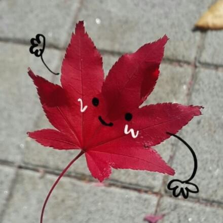 프로필사진